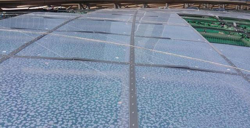 ETFE膜結(jié)構(gòu)有哪些種類？ETFE膜結(jié)構(gòu)是如何分類的？