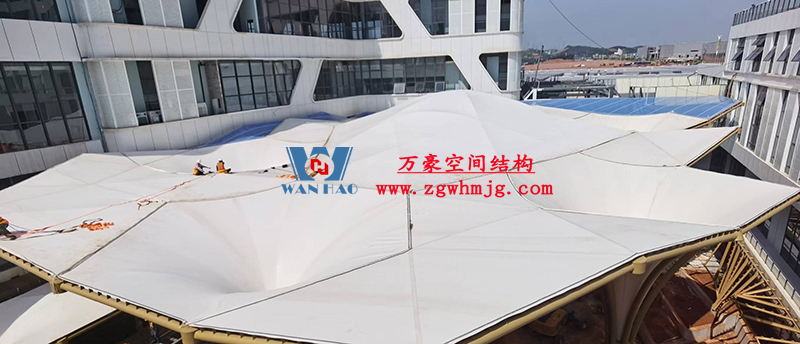 前瞻第19屆東博會：共享RCEP新機遇 再添中國東盟合作新動能