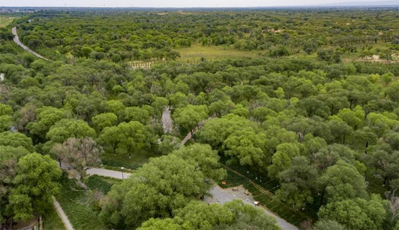 陜西定邊馬蓮灘沙漠公園鋼膜結構工程開始施工 陜西定邊馬蓮灘沙漠公園鋼膜結構工程開始施工