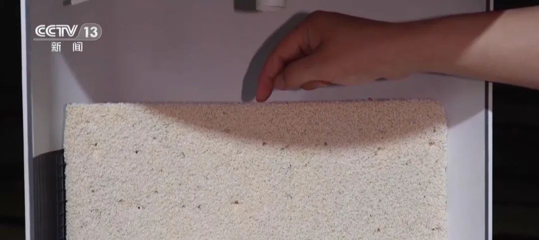 我國(guó)首批糧食【氣膜倉(cāng)】正式投運(yùn) 我國(guó)首批糧食【氣膜倉(cāng)】正式投運(yùn)