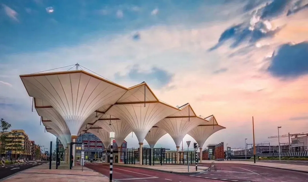 “棚”和“篷”，怎么區(qū)分？